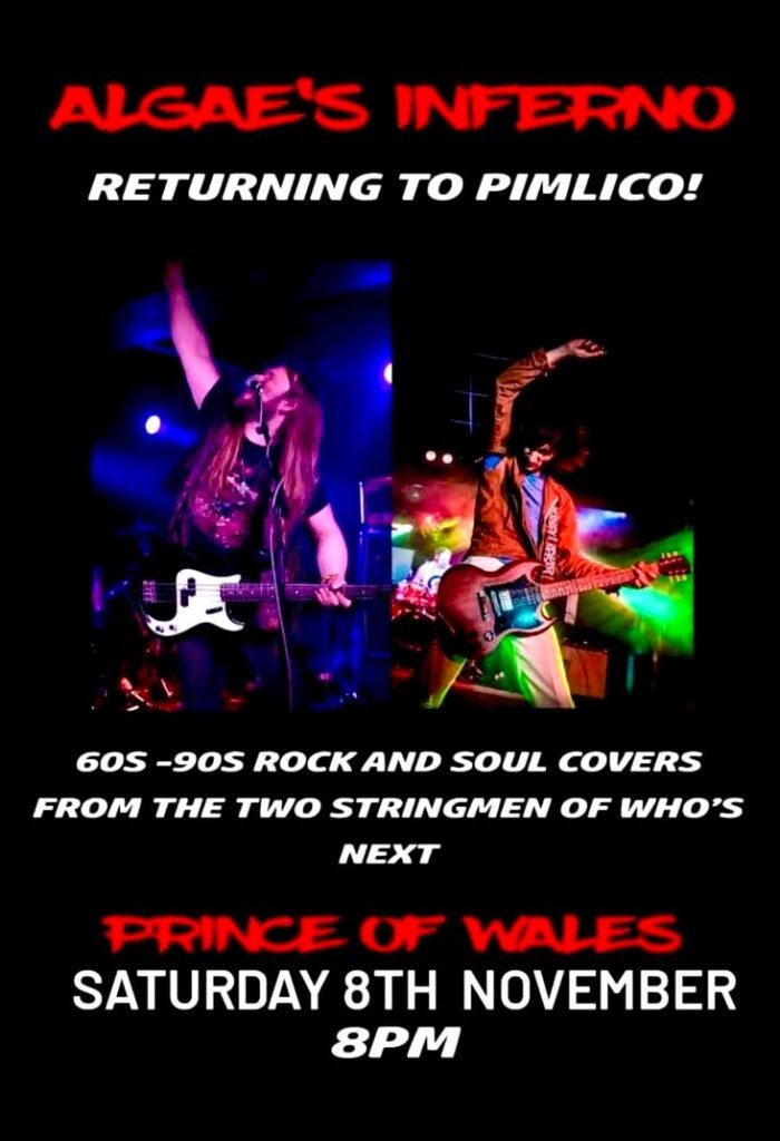 Come on down,Live music at the Prince of Wales Pimlico SW1, London